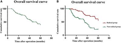 Oncological and surgical outcomes of radical surgery in elderly colorectal cancer patients with intestinal obstruction